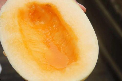 今年吃瓜的速度