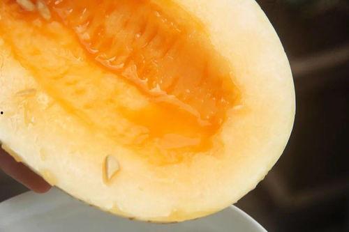 今年吃瓜的速度  第2张