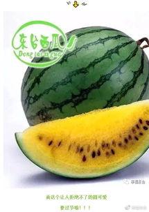 今年吃瓜的速度  第3张