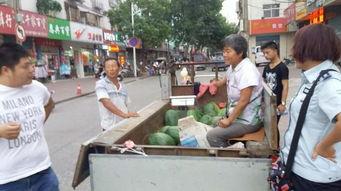 吃瓜群众改行卖瓜了,一场身份转变的奇妙之旅  第3张