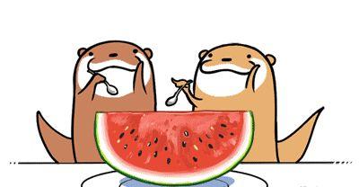 躺着吃瓜吧  第2张