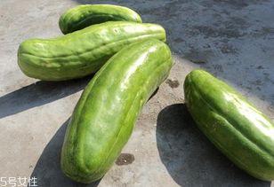 台湾包装脆瓜怎么吃,轻松解锁美味新吃法  第2张