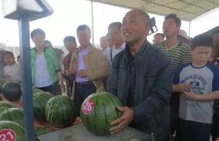 广州塔吃瓜群众  第3张