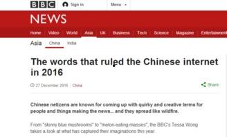 外网评论中国吃瓜,网络舆论场中的社会观察与反思  第2张