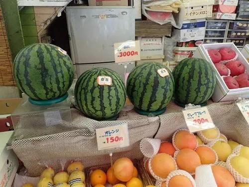 在外国吃洋瓜,一场味蕾的跨国探险  第2张
