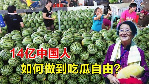 广西吃瓜自由  第2张