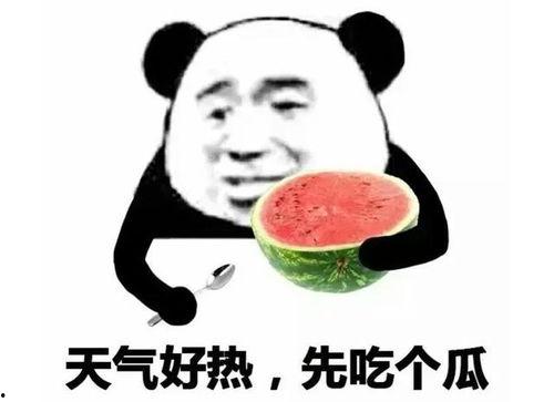 v吃瓜表情包,网络时代的“瓜田”狂欢  第1张