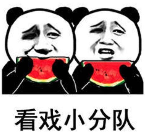 v吃瓜表情包,网络时代的“瓜田”狂欢  第2张