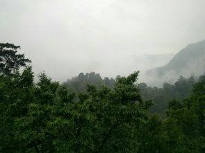 贵阳吃瓜黔灵山,黔灵山下的“吃瓜”风情  第2张