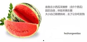 禾赛科技 吃瓜,吃瓜群众眼中的创新力量  第1张